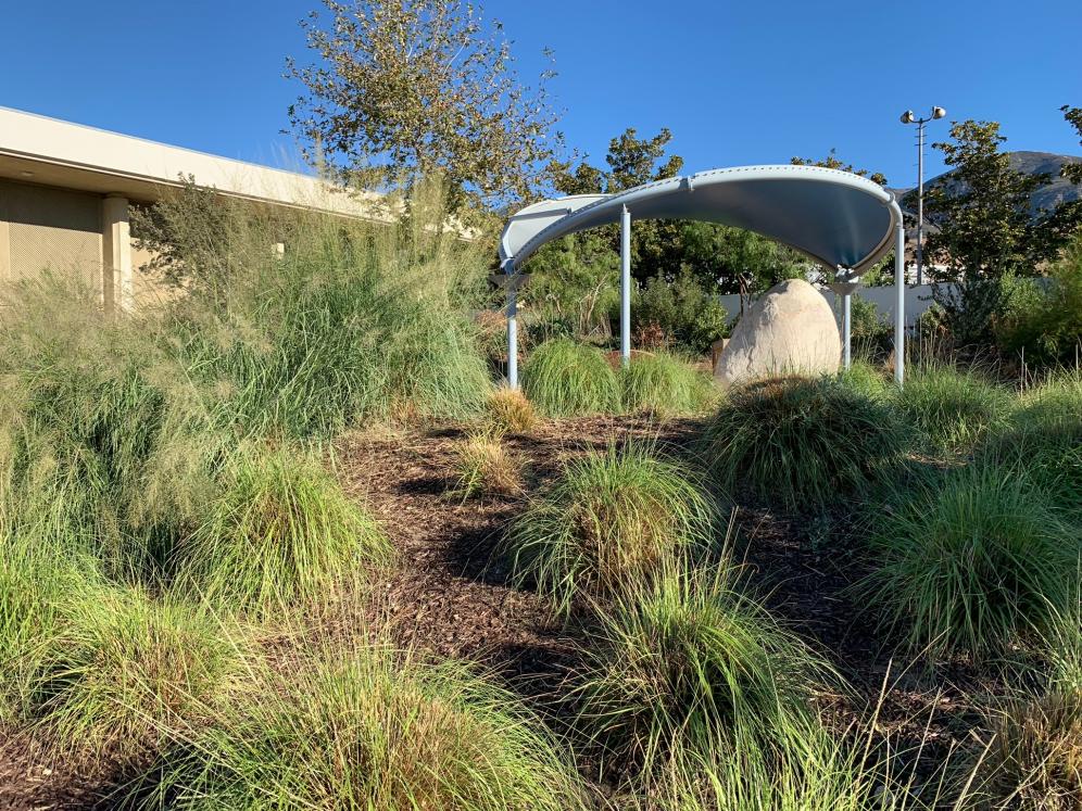 SBV Water Conservation Demo Garden1