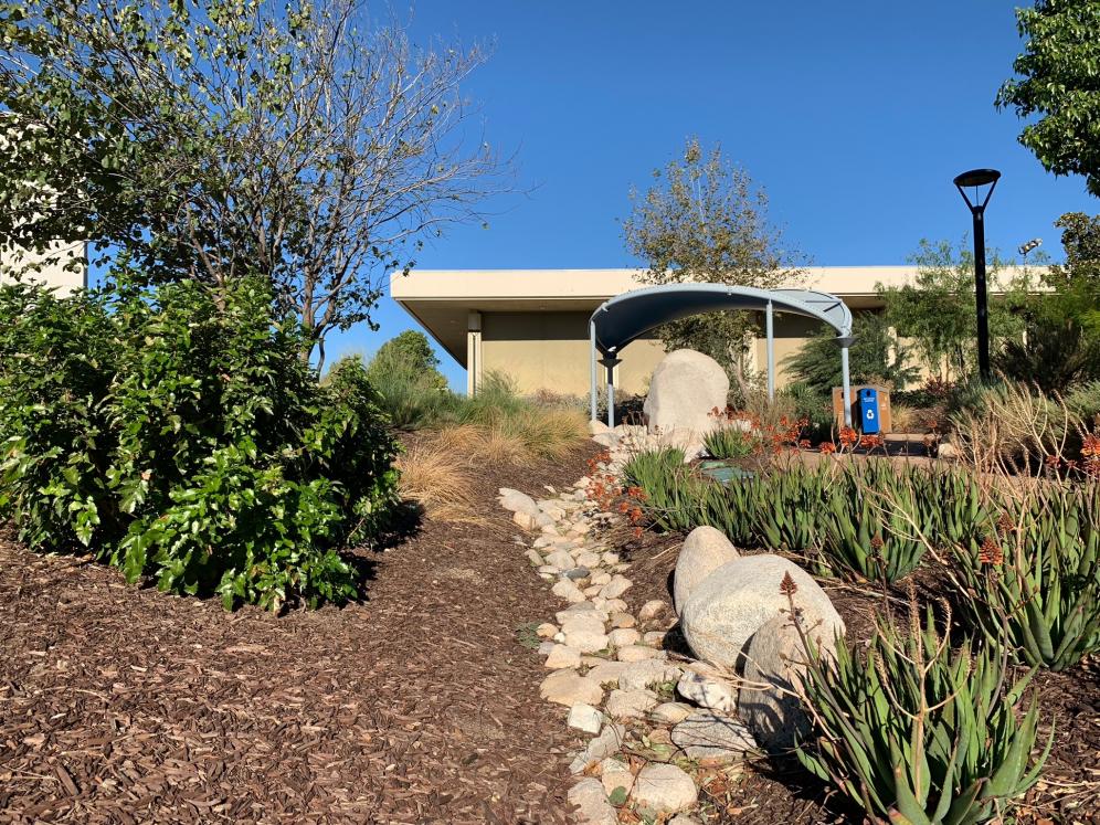 SBV Water Conservation Demo Garden2