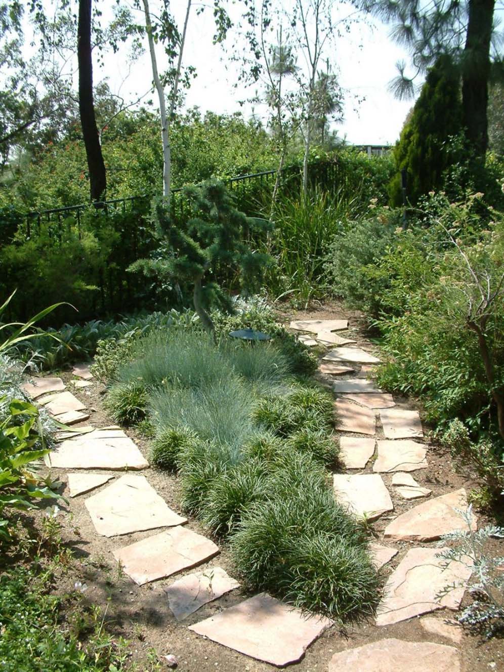 Diverging Paths