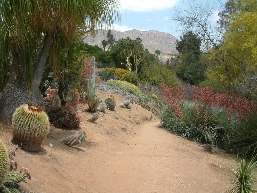 UCR Botanic Garden 2