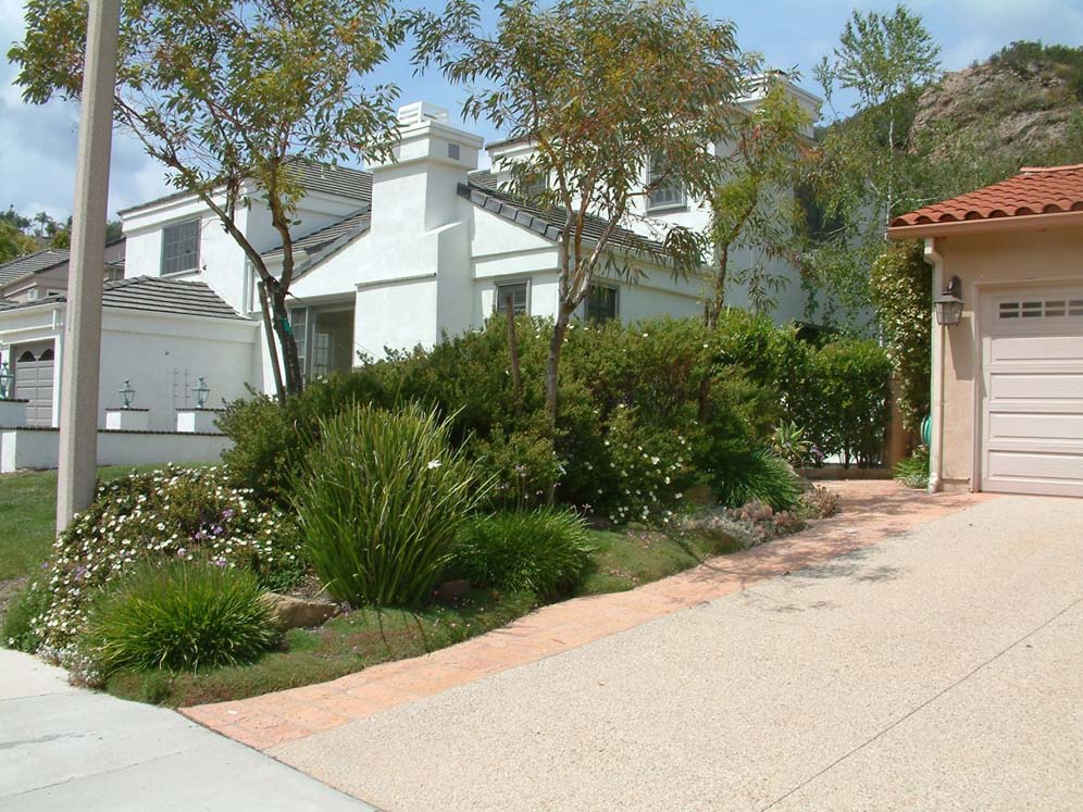 Side Planting Next to Driveway
