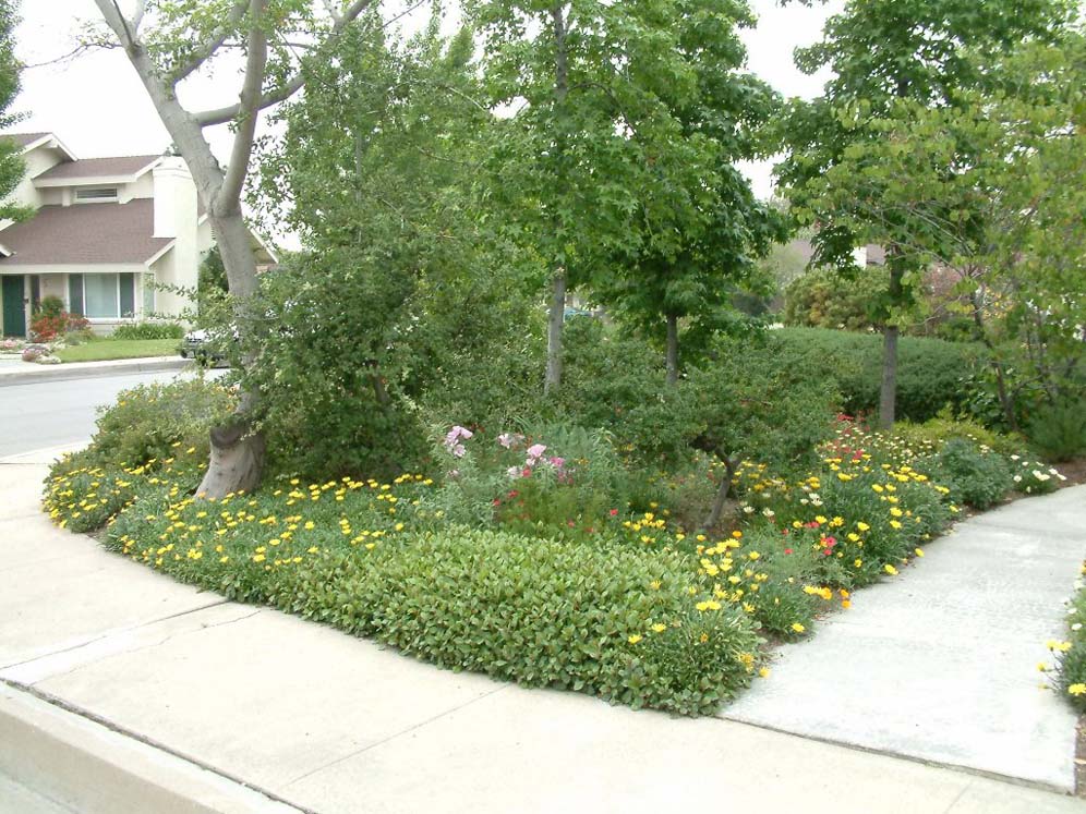 Noreen Entry Walk View