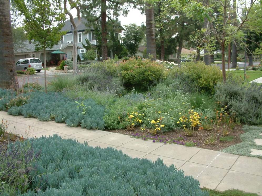 Blue Bungalow Front Path