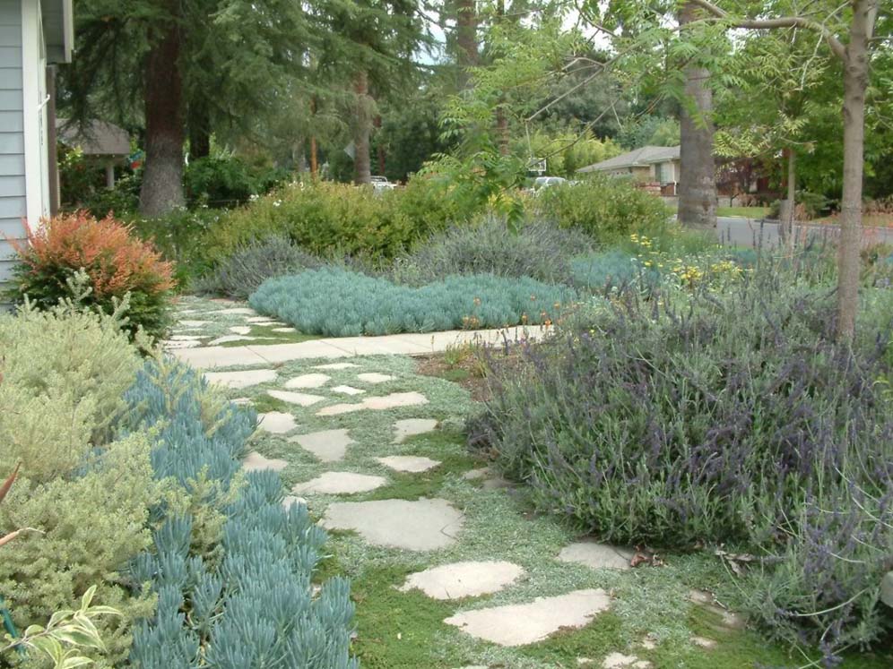 Blue Bungalow Pathway
