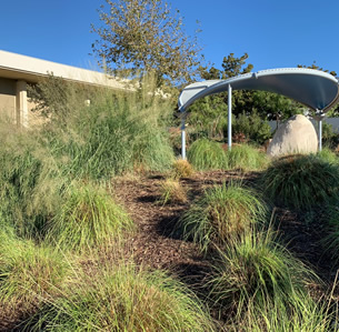 SBV Demo Garden