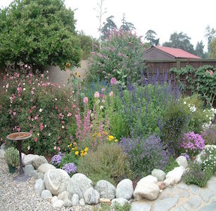 Color Explosion Garden