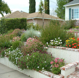 Raised Planters