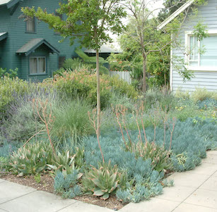 Blue Bungalow Garden